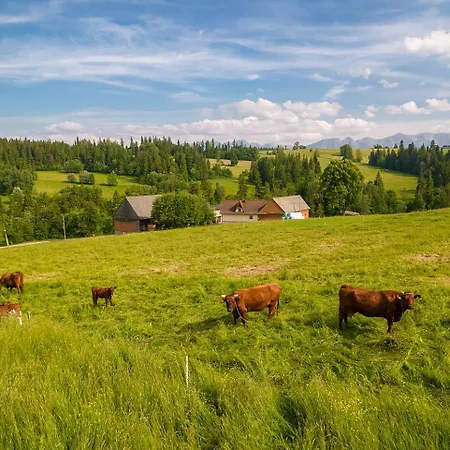 Baranowka - Z Widokiem Na Giewont, W Pasmie Gubalowki By Shortstaypoland * Ratulow